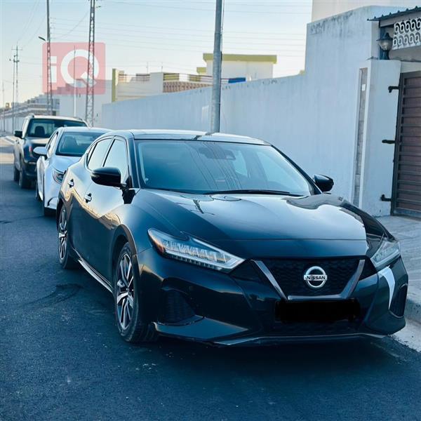 Nissan for sale in Iraq